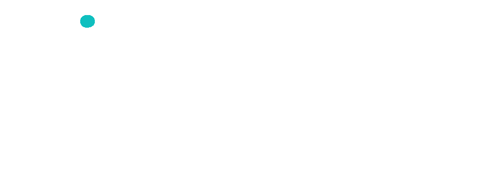 Sinotech Solutions